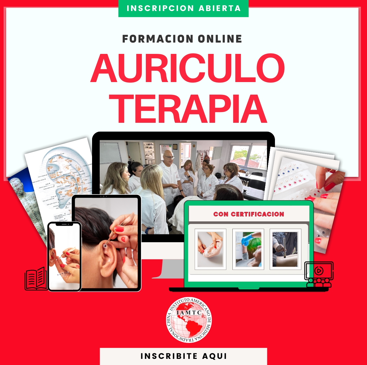 Curso Auriculoterapia